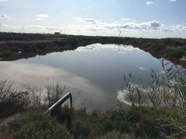 GRANJA AVICOLA,CASA Y ARROZAL EN VENTA!!! — 7