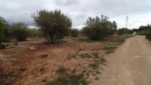 APARTAMENTOS EN UNA RESIDENCIAL EN ORIHUELA COSTA, 2 DOR,2 B - foto 4