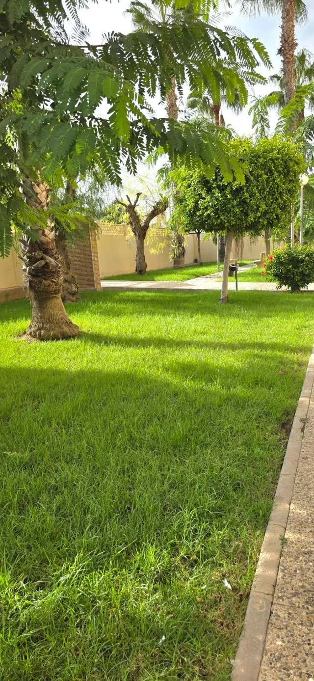 Nueva Torrevieja 2 habs + piscina+ garaje,terraza grandes vistas...149.900€ — 14
