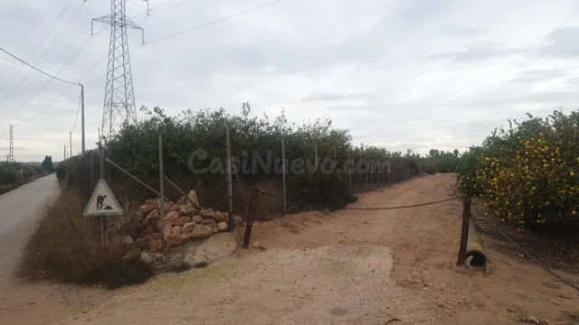 FINCA RUSTICA EN SAN MIGUEL DE SALINAS (ZONA LA MARQUESA) - foto 3