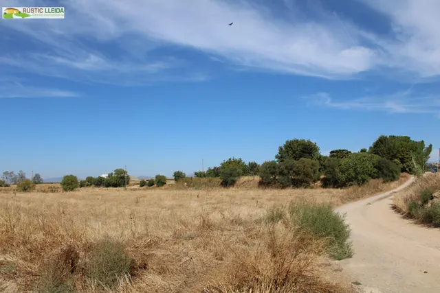 Masía con 18.000 m2 de terreno y amplios almacenes en Penelles. — 16