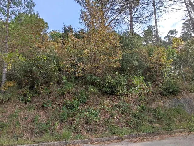 TERRENO EN VENTA EN LA URBANIZACION MASIA DEL SOLÀ (FINCA RUSTICA) MONISTROL DE CALDERS — 3