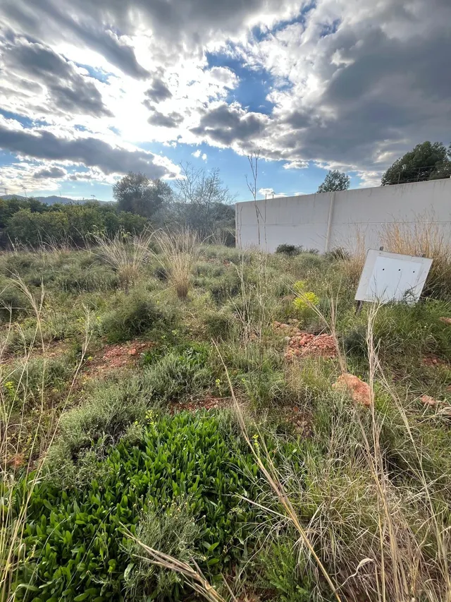SOLAR URBANO EN VENTA EN BETXI - foto 4