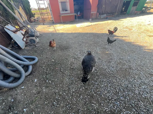 Una casa rural verdaderamente especial: privada, acogedora y perfectamente conectada tanto con el pueblo como con la costa. Bienvenido a un lugar dondela paz, el espacio y la naturaleza se fusionan — 28