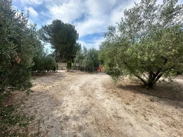TERRENO URBANO EDIFICABLE EN BIXQUERT - foto 3