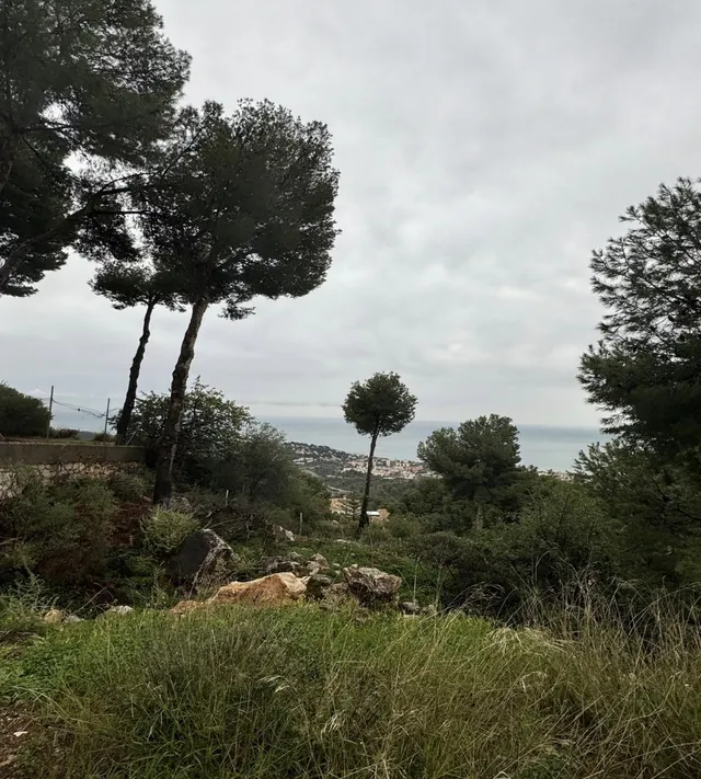 Parcela en venta - Jarazmín — 9