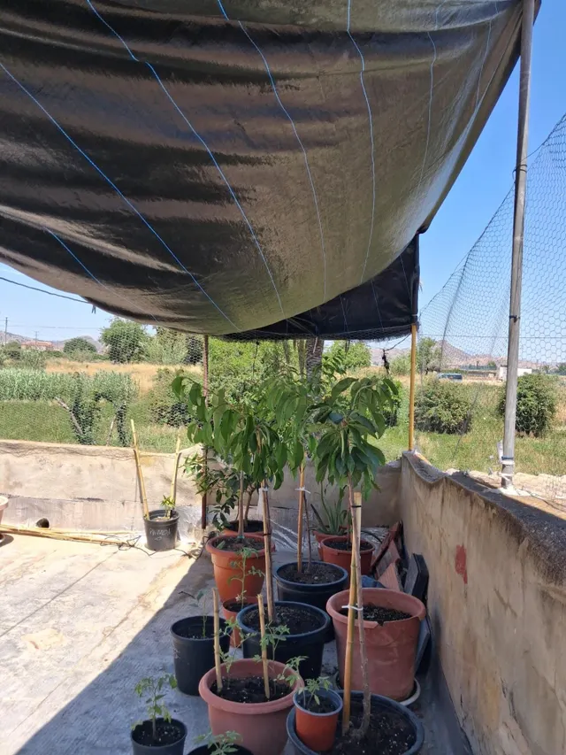 Casa en Alquerías - foto 2