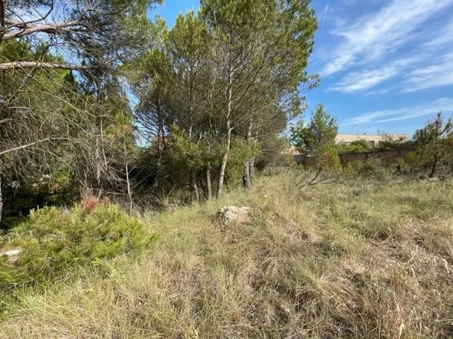 PARCEL.LA EN VENDA EL XARÓ — 4