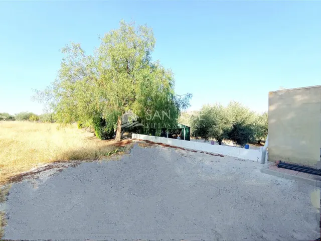 VENTA DE PARCELA ENTRE LA ROMANA Y ASPE — 14