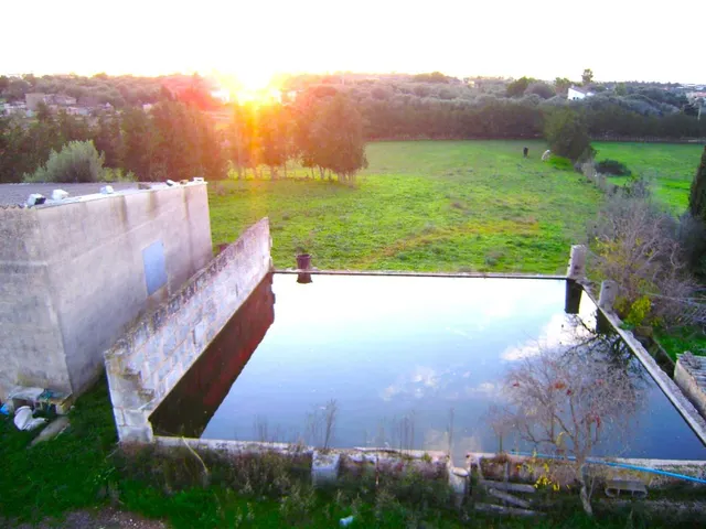 Finca rústica con muchas posibilidades en Muro - foto 2