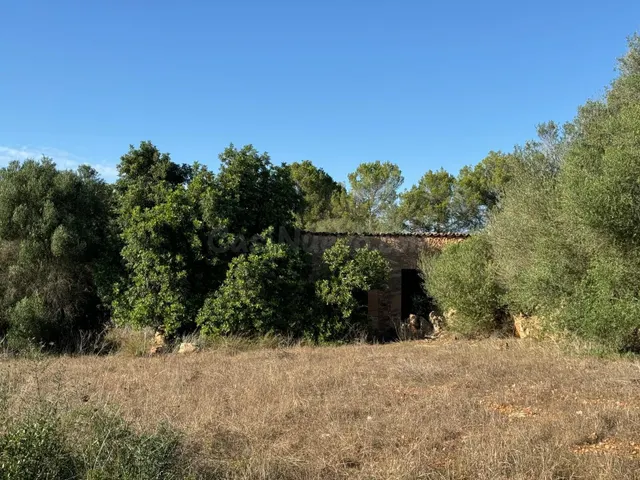 FINCA RUSTICA COSTITX - foto 3