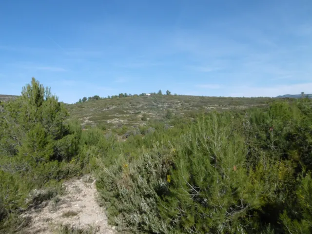 MASIA PARA REFORMAR  CON ALMACENES EN UNA FINCA DE 10 HECTÁREAS — 36