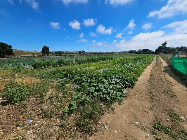 Terreno agricola en venta en Malgrat de Mar — 28