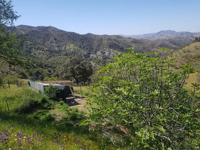 Parcela en venta - Andalucia — 13