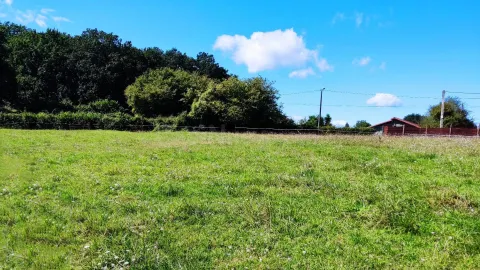 Construye tu hogar en el corazón de la naturaleza