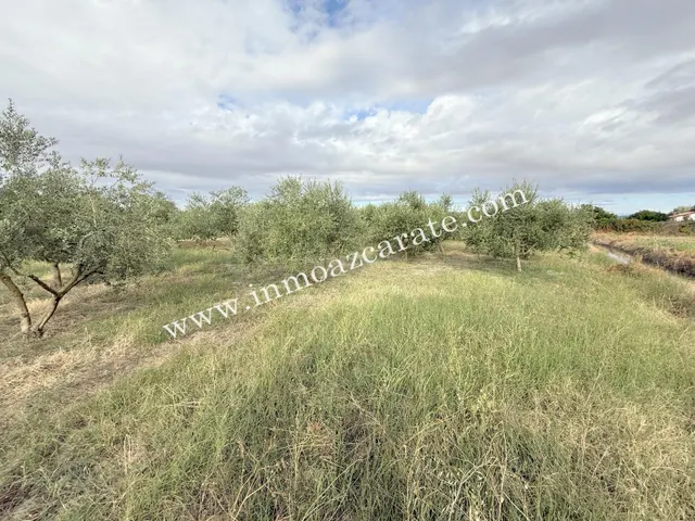 Parcela de Regadío en Lerin - foto 3