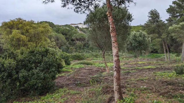 Parcela en venta - Sotogrande - Alto - foto 5
