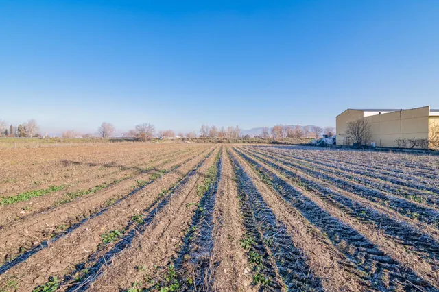 Excelente finca de regadío en la Vega de Granada, con acceso directo — 18