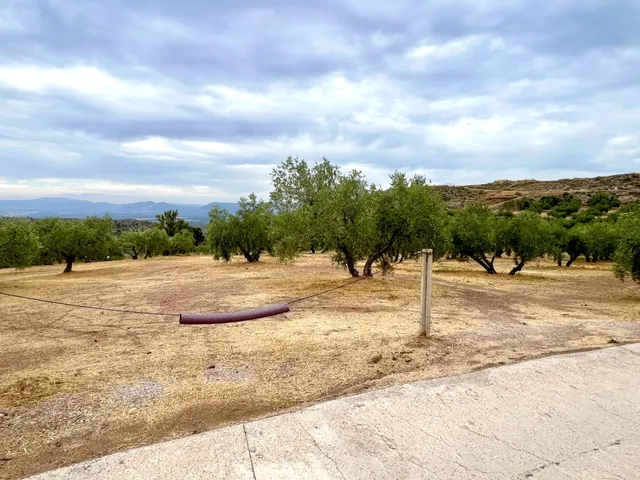 NIVAR - FINCA DE OLIVOS — 10
