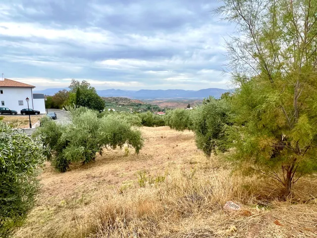 NIVAR - FINCA DE OLIVOS — 23