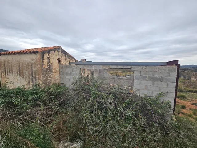 FINCA DE 5 HA EN FREGINALS CON CASA — 2