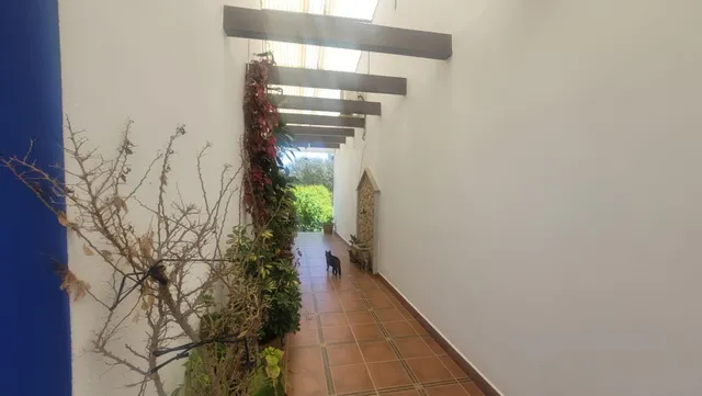 CASA DE CAMPO CON ESCRITURAS EN MONTE DEL CASAR — 44