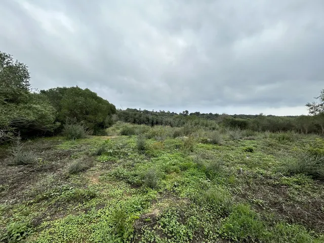 Parcela 1444m² en venta - Sotogrande Costa