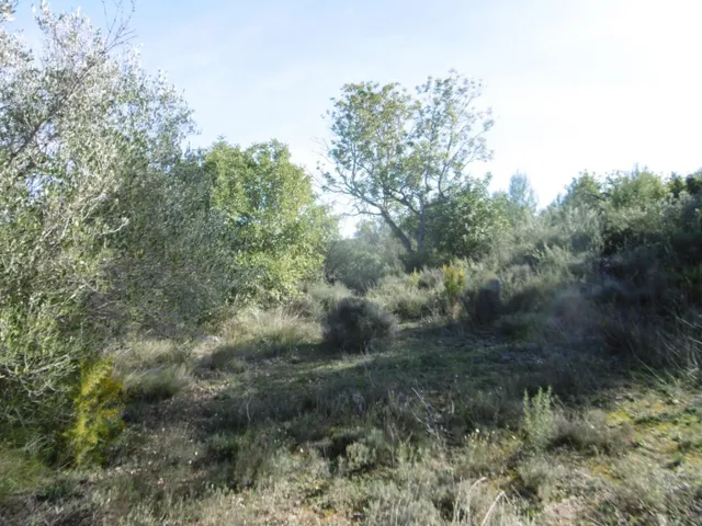 MASIA PARA REFORMAR  CON ALMACENES EN UNA FINCA DE 10 HECTÁREAS — 34
