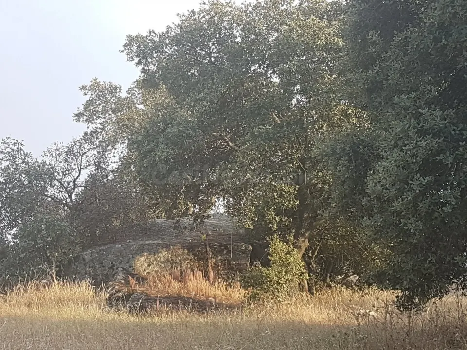 Terreno rural en venta - Alrededores