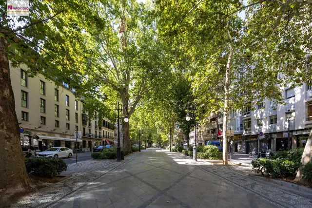 Piso y cochera en venta junto Acera de Darro. — 43