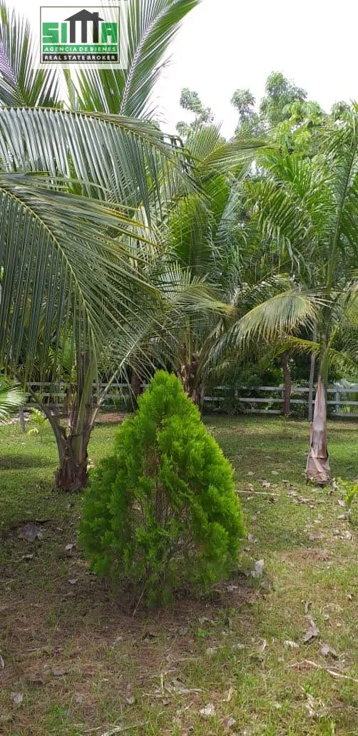 Venta de cabaña Ubicado en Barú — 7