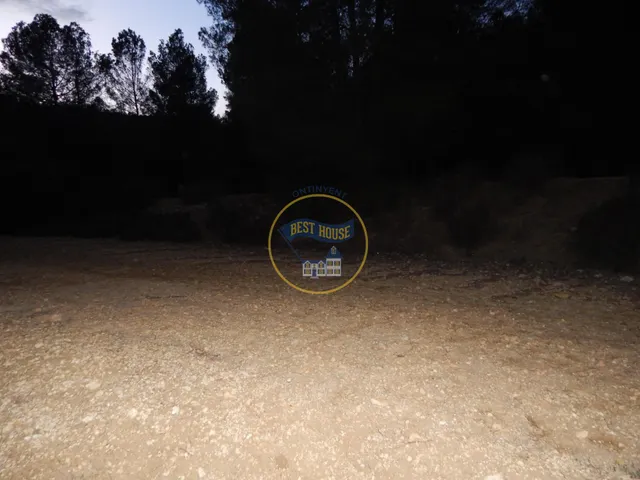 OPORTUNIDAD DOS PARCELAS A LA VENTA EN OLLERIA — 7