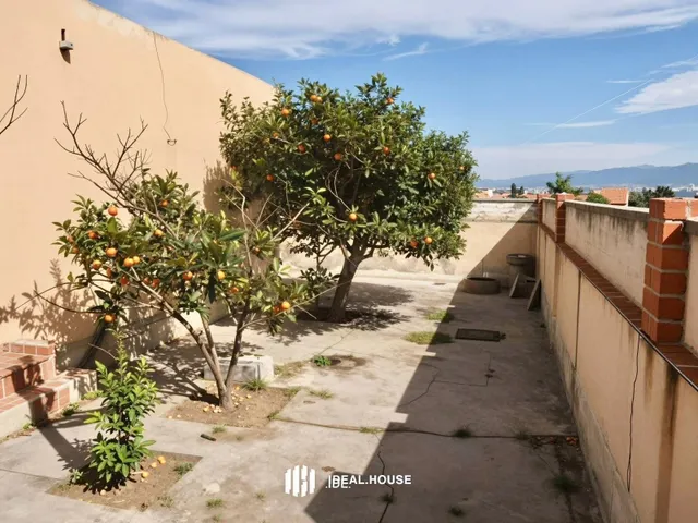 Casa con terreno y cochera en alquiler en Fortuna - foto 3