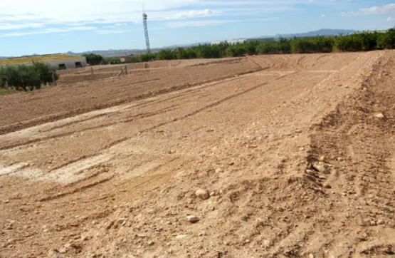 Parcela en alquiler - Los Almagros - Los Paganes - El Escoba - foto 2