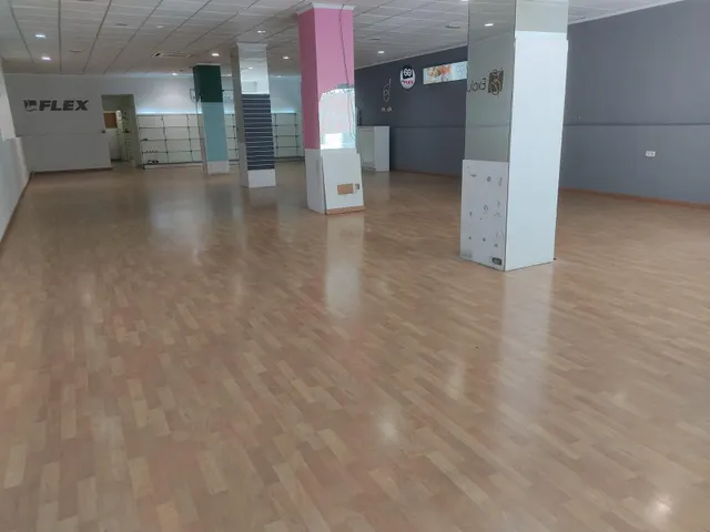 LOCAL COMERCIAL DE MAS DE 600M2 EN ZONA CENTRO — 5