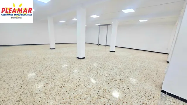 LOCAL COMERCIAL DE DOS PLANTAS DE 500 M2           ZONA CENTRO — 4