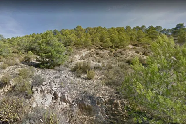 Terreno rural en venta - Fortuna - foto 2