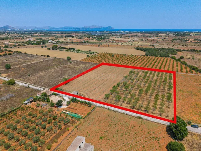 Terreno urbanizable en Can Picafort CON LICENCIA Y PROYECTO 