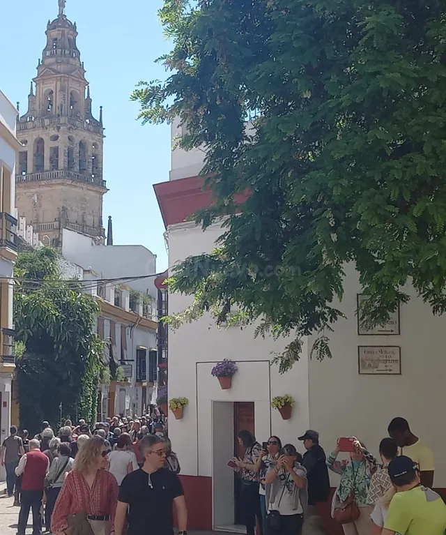 Casa para negocio en plena Juderia¡¡¡