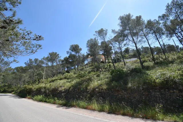 EXCELENTE TERRENO EN MAS MESTRE, OLIVELLA — 4