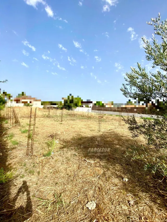 ZONA ALAMILLO - Villarrubia . Parcela de terreno de 1.250 m2 - foto 2