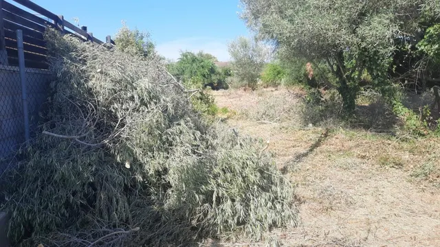 Terreno con proyecto y estudios incluidos