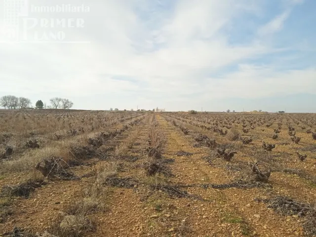 Se venden 7,4 hectareas de viña airen de regadio con pozo de