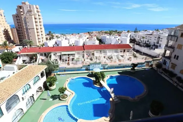 Fantástico estudio con vistas al mar junto a Torrevieja, Alicante, Costa Blanca — 18
