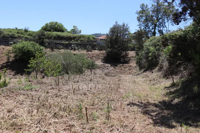 Terreno Agrario en Venta â Zona de Erjos (municipio de Los Silos / El Tanque) — 9