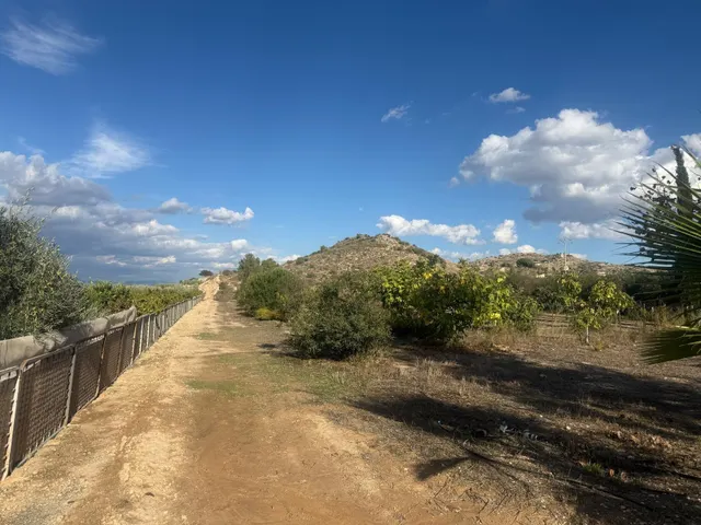 TERRENO RÚSTICO EN VENTA EN TOLOMÓ – ASPE (ALICANTE) - foto 5