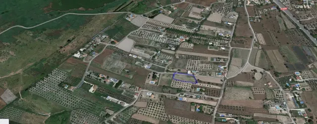 Terreno rural en venta - Marchena - foto 2