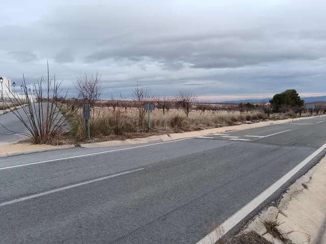 SE VENDE TIERRA CON ALMENDROS EN PRODUCCIÓN!!! - foto 5