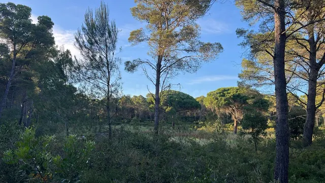 Impresionante Villa en Riells, L'Escala