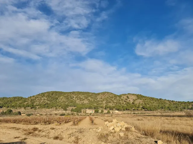 Terreno en venta en Monóvar Comunidad Valenciana — 7
